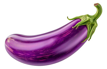 A purple eggplant with a green stem, cut out - stock png.