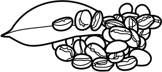 coffee bean illustration roasting