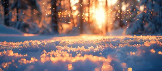 Foto op Plexiglas Golden Sunset Bokeh Light Blur Engulfs Snowy Forest Clearing in Romantic Atmosphere © Sittichok