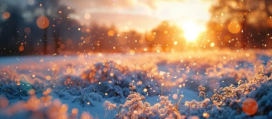 Fotobehang Ethereal Sunset Bokeh A Winter Countryside Illuminated in Glowing Radiance © Sittichok