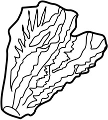 vegetable mustard greens outline illustration