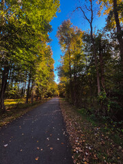 Obraz premium autumn in the park