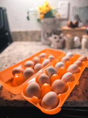 farm fresh eggs in an egg holder