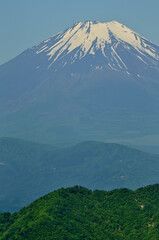 丹沢山地の丹沢山より望む初夏の頃の富士山
