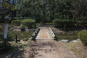 ４月　公園の風景