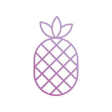 pineapple icon with white background vector stock illustration