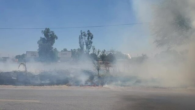 INCENDIO FORESTAL AREAS VERDES EN INCENDIO PROVOCADO POR BASURA Y LAS ALTAS TEMPERATURAS FUEGO EN EL PASTIZAL PIE DE CARRETERA