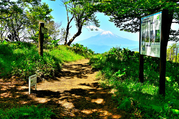 丹沢の不動ノ峰山頂にて　縦走路の先に聳える富士山
 - obrazy, fototapety, plakaty