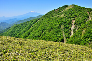 丹沢の丹沢山より　緑の不動ノ峰と富士山を望む
