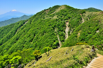 丹沢の丹沢山より　初夏の丹沢主脈の山々と富士山を望む
