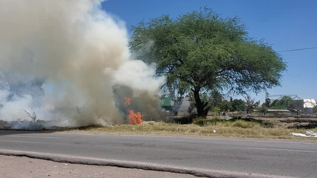INCENDIO FORESTAL AREAS VERDES EN INCENDIO PROVOCADO POR BASURA Y LAS ALTAS TEMPERATURAS FUEGO EN EL PASTIZAL PIE DE CARRETERA