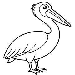Majestic Pelican: A Vector Illustration