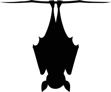 Silhouette of a bat hanging from a dry branch. Minimalist black illustration for halloween
