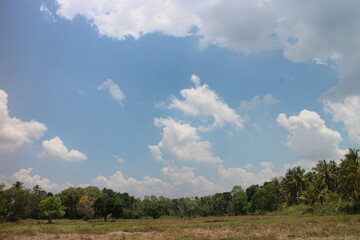 Naklejka premium Cloudy blue sky with trees