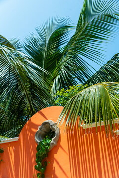 Colorful Tropical Garden With Plam Tree.