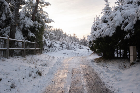 morning sun on ice covered road 
