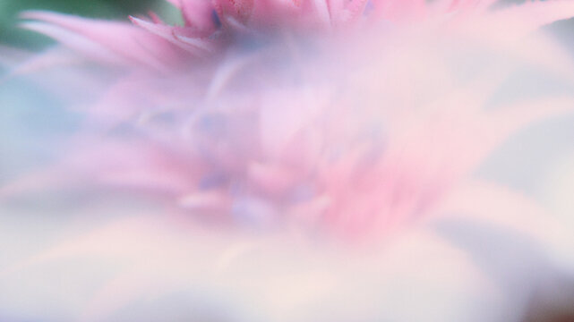 Presentation Backgrounds: Nature
