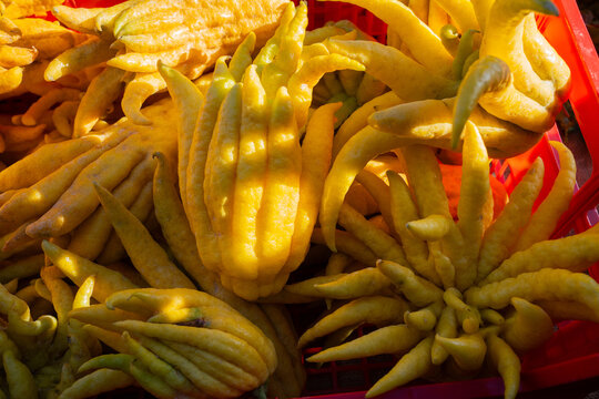 Buddha Hand Lemon Citric.