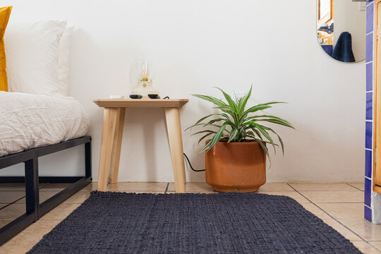 Clay pot with tropical plant next to a bedside table 