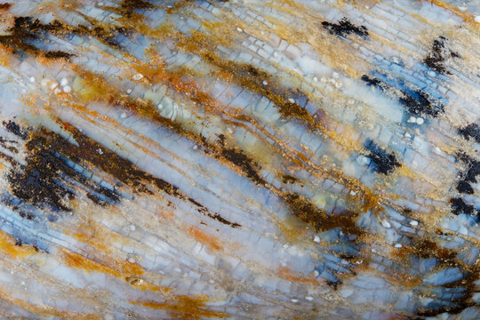 Agatized fossil coral jade jewelry bracelet surface detail texture