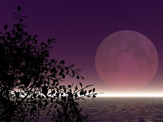 幻想的な月と海