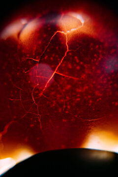 The texture of the egg is a close-up plan.