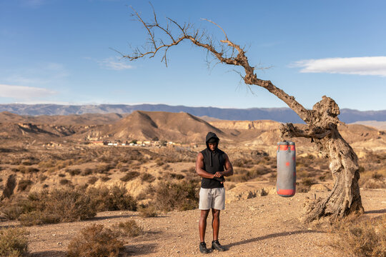 young boxer at desert