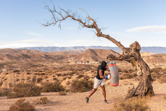 a young boxer trains in a desert - Powered by Adobe