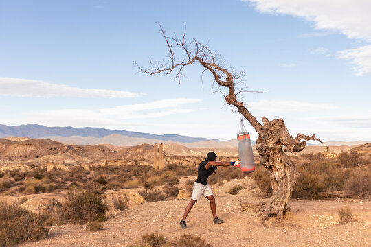 a young boxer trains in a desert