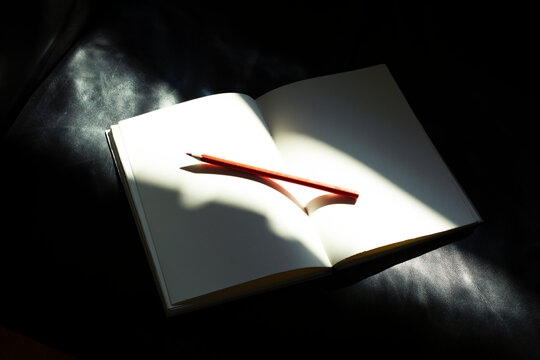 A pencil and notebook on a leather sofa