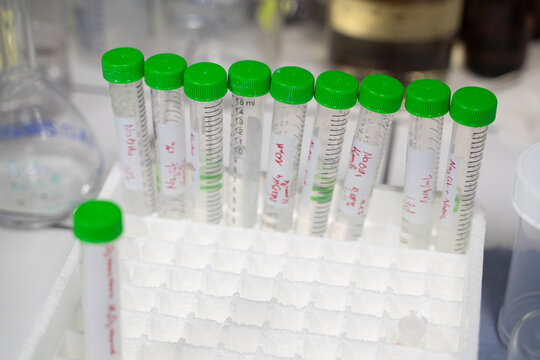 Many Test Tubes In The Box