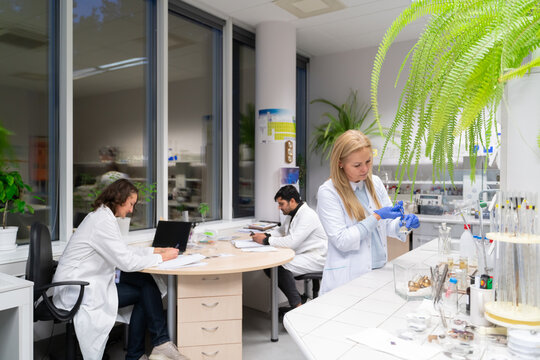 Scientists Working In Catalysis Lab