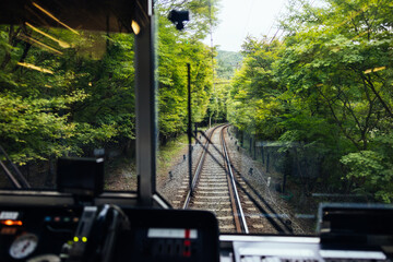 Journey Through the Green Tunnel