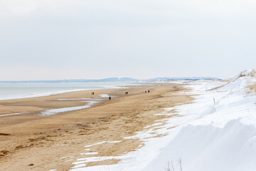 Fototapeta na wymiar beach in winter