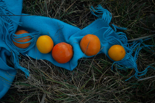 The oranges and the lemons on the blue scarf