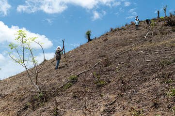 Indigenous farmers teamwork cultivating soil