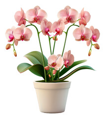 A white flower pot with a pink flower in it, cut out - stock png.
