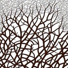 The Branches design
