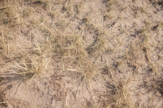 Dry desert ground.