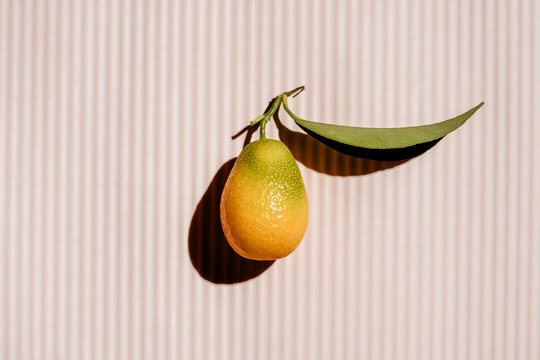 Kumquat