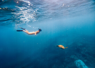 Woman swimming with a turtle in the sea