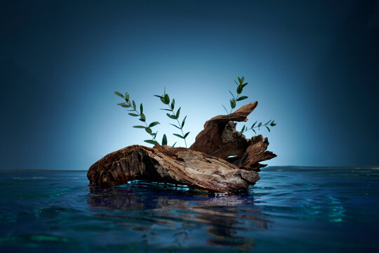 Product display podium with dry branch on water surface