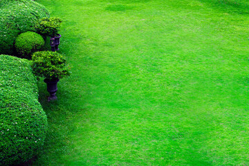 Scenic View of a Beautiful Landscape Garden with a Green Mowed Lawn