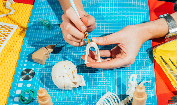 Painting human skull model