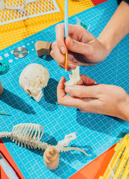 Toy constructor making model