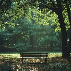 The elderly gentleman jogging in the park