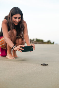  woman filming with phone a Release Of A Baby Sea Turtle