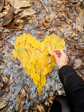 POV Making Heart Shape with Autumn Leaves in Nature