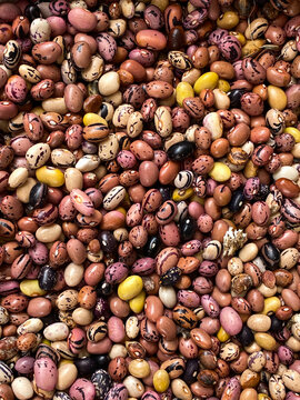 colorful beans background 