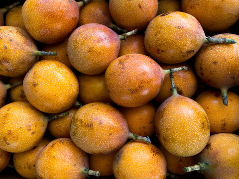 sweet granadilla tropical exotic fruit